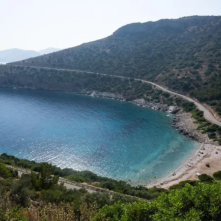 Villa Olive Garden