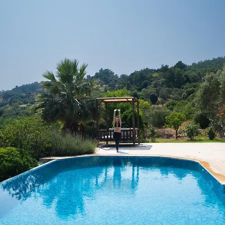 Olive Garden * Datça