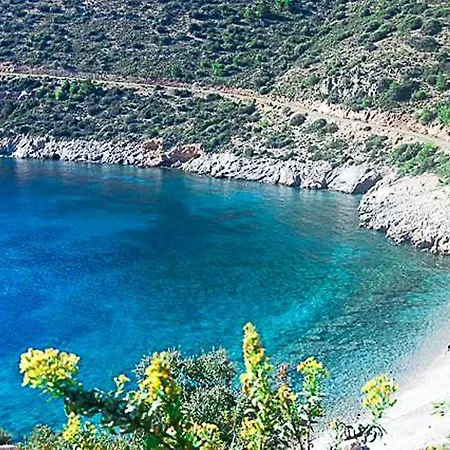 Olive Garden Villa *