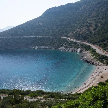 Olive Garden * Datça