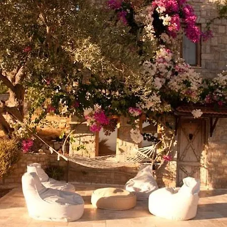 Olive Garden * Datca